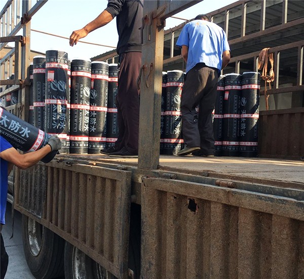 SBS防水卷材發(fā)貨