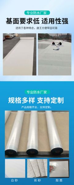 非瀝青基防水卷材