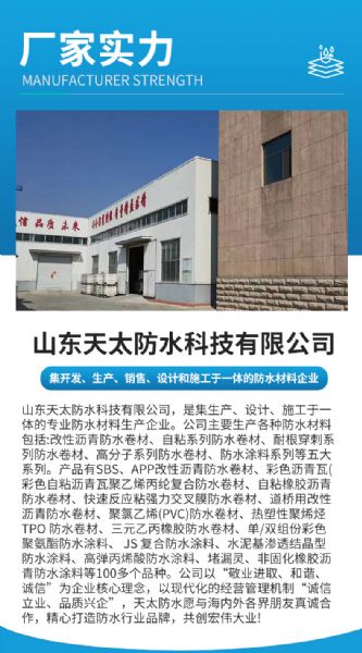 非瀝青基防水卷材